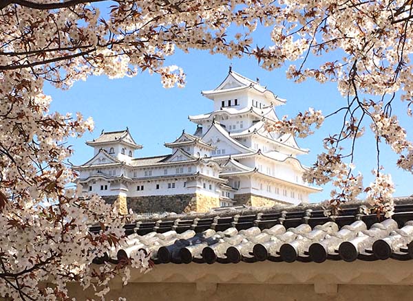 Mùa xuân là thời điểm thích hợp nhất để tham quan và khám phá quần thể lâu đài Himeji Nhật Bản