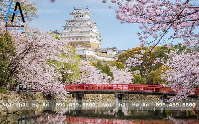 lâu đài himeji với sắc hồng mùa hoa anh đào
