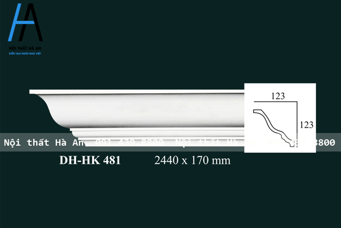 DHHK 481